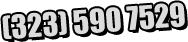 (323) 590 7529