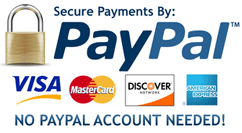 Secure payments by PayPal